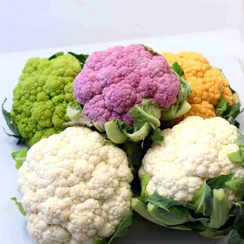 Colorful Cauliflower Mix of 5 Varieties Seeds for Planting Around