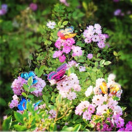 VIMOA Butterfly Plant Stakes 50pcs Decorative Garden Waterproof Small Butterflies Decor Garden for Houseplant Flower Beds Plant Pots