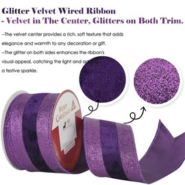HUIHUANG Purple Velvet Wired Ribbon with Glitter Striped Edges 2.5 inch Purple Christmas Ribbon for Trees, Bows Making, Wreath Supplies, Gift Wrapping, Garlands, Home Decor, Crafts -10 Yards