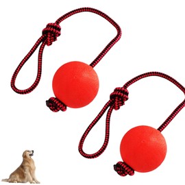 Syylqyr 2PCS Ball on Rope Dog Toy, Durable Interactive Pet Toys for Indoor and Outdoor Games, Throw and Fetch Tug of War Training, Interactive Rubber Ball Chew Toys, Ø 5 cm