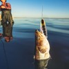 BESPORTBLE 2pcs Realistic Simulation Bait Propeller Lure Bait Hard for