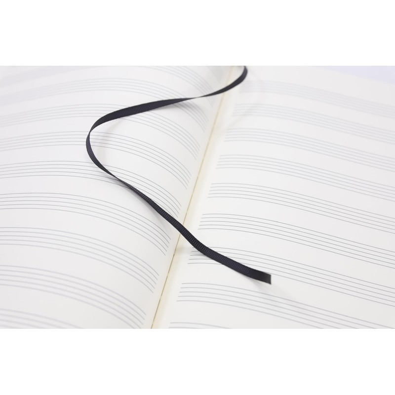 Cuaderno Pautado Profesional | Petiola