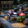 Solar Flamingo Garden Stake Lights for Outdoor Decor – 3