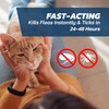 Naqua Ltd Cat Flea Treatment Spot On x 6 -