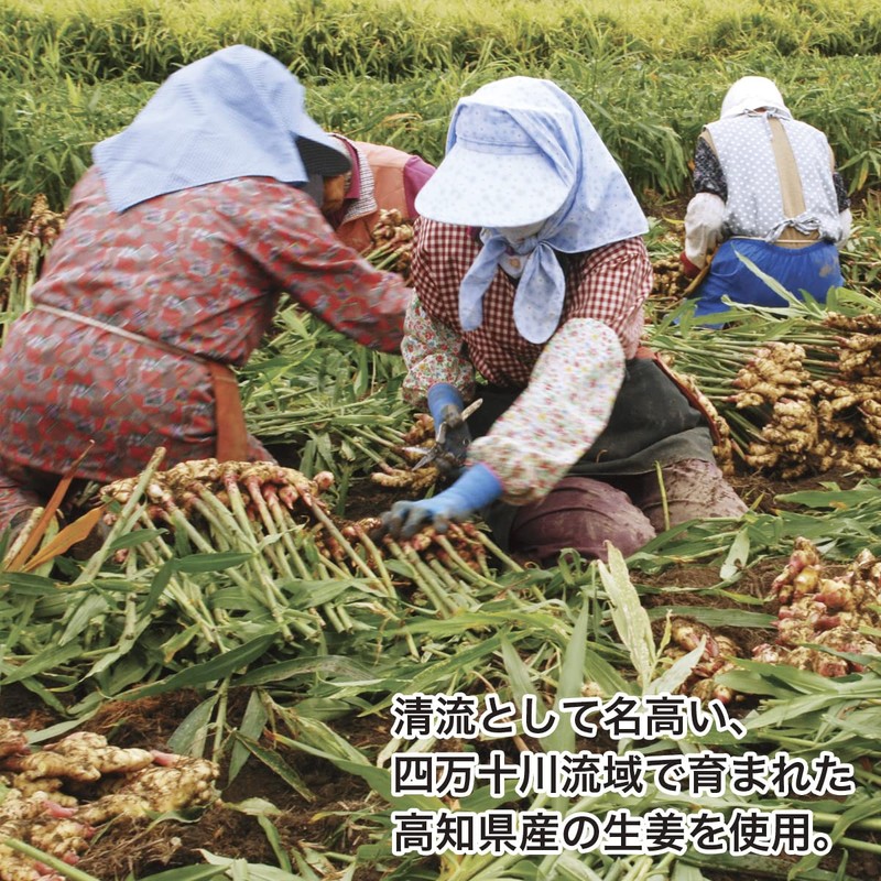 サンワ食研 温効生姜 1パック（62袋）