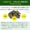 Yamada Beekeeba Propolis 300 Bags (100 Balls / About 1