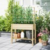 Outsunny Wooden Raised Garden Bed with Trellis, Elevated Planter Box