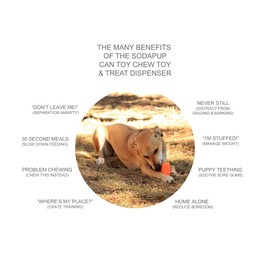 Soda Pup Dog Chew Toy and Treat Dispenser - Enrichment Dog Toys - Treat Dispensing Dog Toys - Dog Puzzle Toys - Dog Treat Toy - Orange - X-Large