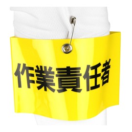 Toyo Armbands "Work The" Safety Pins, No. (A Little Bit Of... 65 – F05