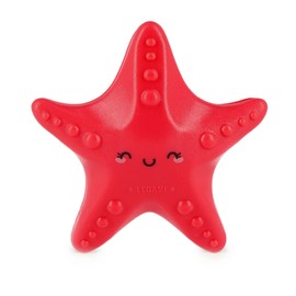 Legami Unisex - Adult Stakes Set of 4 Beach Towel Stoppers, Starfish, One Size