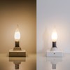 Frosted LED Candelabra Bulbs 60 Watt Flame Tip Chandelier Light