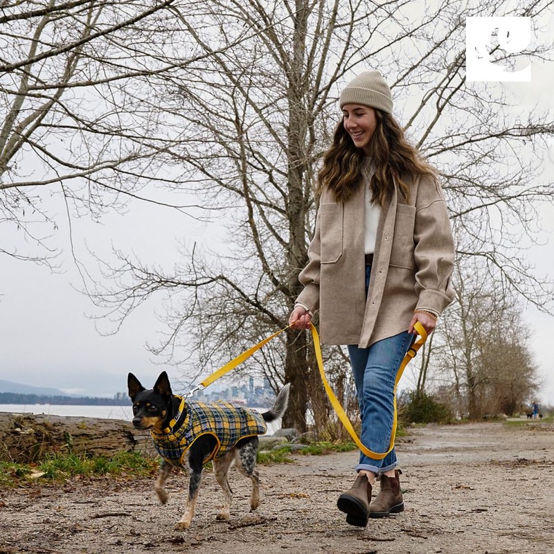 RC Pets Double-Layered, Adjustable Tundra Fleece | 12 Inches, Marigold