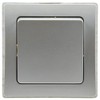 DELPHI change switch, UP, silver