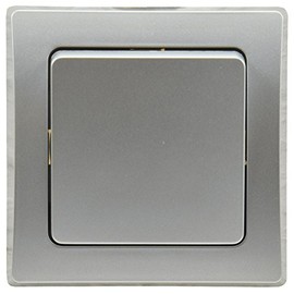 DELPHI change switch, UP, silver