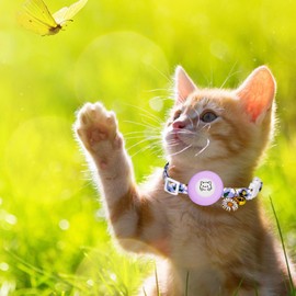 VAMOVISON Floral AirTag Cat Collar Cute GPS Cat Collar Breakaway with Silicone Air Tag Holder and Bell & Flower Charm Cat Tracker Collars with Quick Release Safe Buckle for Girl Boy Kittens (M, Blue)