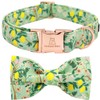 Lionheart glory Floral Dog Collars Bowtie Dog Collar, Adjustable Heavy