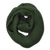 Wrapables Thick Knitted Winter Warm Infinity Scarf, Hunter Green