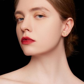 RUKYF Gold Plated Dachshund Stud Earrings for Women Weiner Dog Earrings for Pet Lovers Dachshund Gift for Women Dog Jewerly