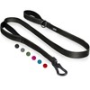 TwoEar 6FT 1IN Strong Black Dog Leash with 2 Padded