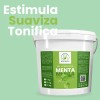 Gel Conductor Menta Productos Mart Mexico 10 kg Aparatología