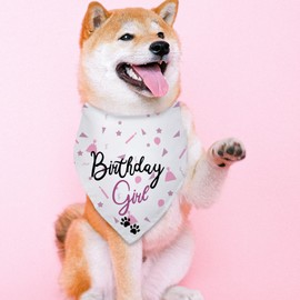 Dog Birthday Bandana Dog Birthday Girl Happy Birthday Dog Bandana for Girls Pet Accessories for Dog Lovers Birthday Bandana for Large Dog Girl Dog Birthday