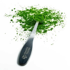 MatchaTherapy Matcha Tea Measuring Spoon, 1 Gram, 1 Serving of Matcha, Premium Stainless Steel, Measuring Cup, Durable and Dishwasher Safe, Matcha Scoop