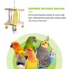 Bird Stand Perch Toy,Interactive Rocking Parakeet Toy and Perch, Wooden