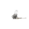RIDEX H3 Car Bulbs 55 W PK22s 106B0010