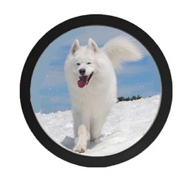 kfeity Round Photo Frame Stylish Circle Wooden Wall Hanging Picture Frames for Home Office Wall Decor(Black, 6 inch)