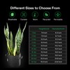 VIVOSUN 5-Pack 10 Gallon Plant Grow Bags, Heavy Duty Thickened