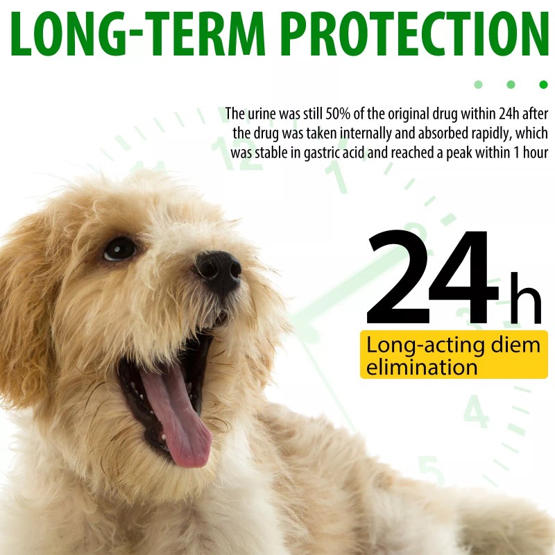 Oimmal Natural Antibiotic for Dogs Allergy Relief Apple Cider Vinegar