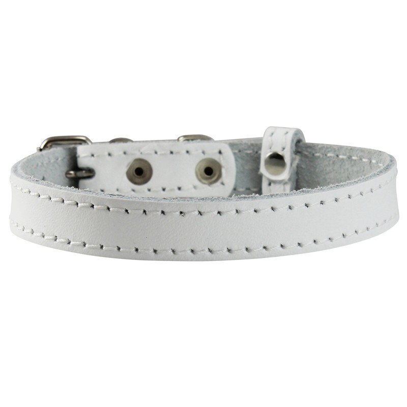 Genuine Leather Dog Collar for Smalles dogs and puppies 3