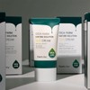 Farmstay Cica Palm Nature Solution Sunscreen 50g / 팜스테이 시카