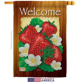 Breeze Decor Fruits Welcome Strawberries House Flag Set Food Pineapple Strawberry Apple Watermelon Tropical Aloha Summer Small Decorative Gift Yard Banner Made in USA 28 X 40
