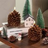 Homemory 2 Pcs LED Pine Cone Candles, Flameless Candles with