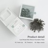 Dr.Althea [Dr.Althea]Last Minute Skin Rescue Anastatica Mask (30ea)