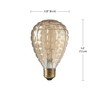 Globe Electric 84635 Designer 40W Granada Design Bulb, 1 Count