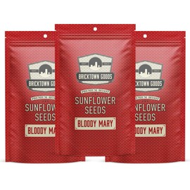 Bricktown Goods Bloody Mary Flavored Sunflower Seeds - 3 Pack - Boldly Seasoned and Roasted In-Shell Sunflower Seeds - 24 oz Total