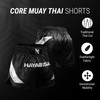 Hayabusa Core Muay Thai Shorts - Black, Small