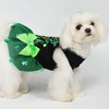 Fitwarm Cutest Clover in The Patch Dog Dress, St Patricks