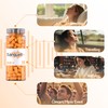 Sanquell Soft Disposable Foam Ear Plugs, 70 Pairs, SNR 38