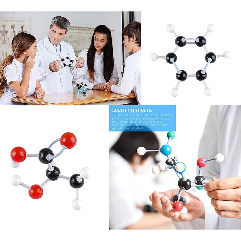 Molecular Model of Chemistry, 240 Pieces Basic Biochemical Structure Building