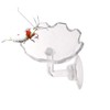 JZMYXA Shrimp Feeding Dish Shrimp Feed Dish, High Transparent Acrylic