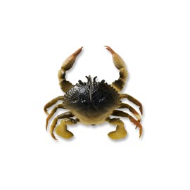 Savage Gear Toughtec Crab Fishing Bait, 1/2 oz, Light Brown Olive, Realistic Contours, Colors & Movement, Durable Construction, Ultra-Sharp 3X Carbon Steel Fishing Hook, Scent Infused