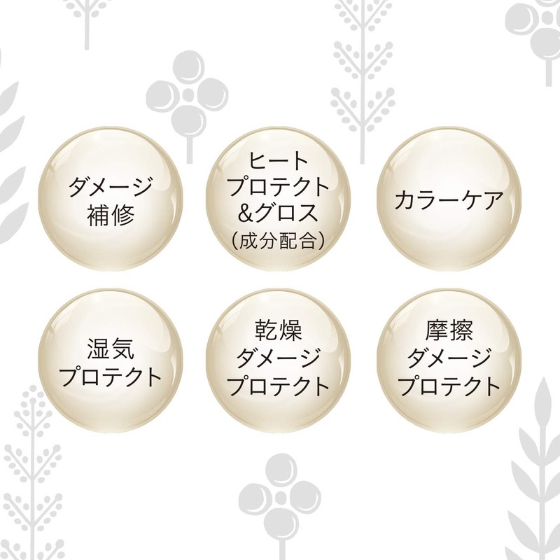 SALON STYLE KOSE Bioris Botanical, Aesthetic, Gloss Coating, Conditioner (Smooth),