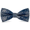 WOXVM Men's Bow Ties Pre-Tied Bow Tie Vintage Paisley Bowtie