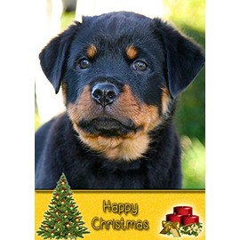 Rottweiler Dog Christmas Card 'Happy Christmas' - Special Animal Xmas Card for Him Her from Pets Kids