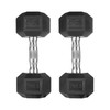 THUNDERBAY Rubber Coated Cast Iron Hex Dumbbell Weights(in Pairs) (20