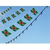 FFILL Dominican Banner Flag String,Dominica Mini Flag Small Banner, for