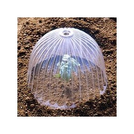 DAIM Seedling Cover, Seedling Dome, Set of 5, Diameter 11.8 x Height 8.7 inches (30 cm) x Height 8.7 inches (22 cm)